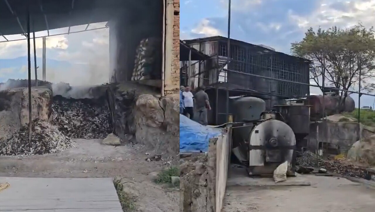 ¡Por el olor los pillaron! Planta clandestina, sin condiciones de salubridad, vendía insumos para comida para mascotas