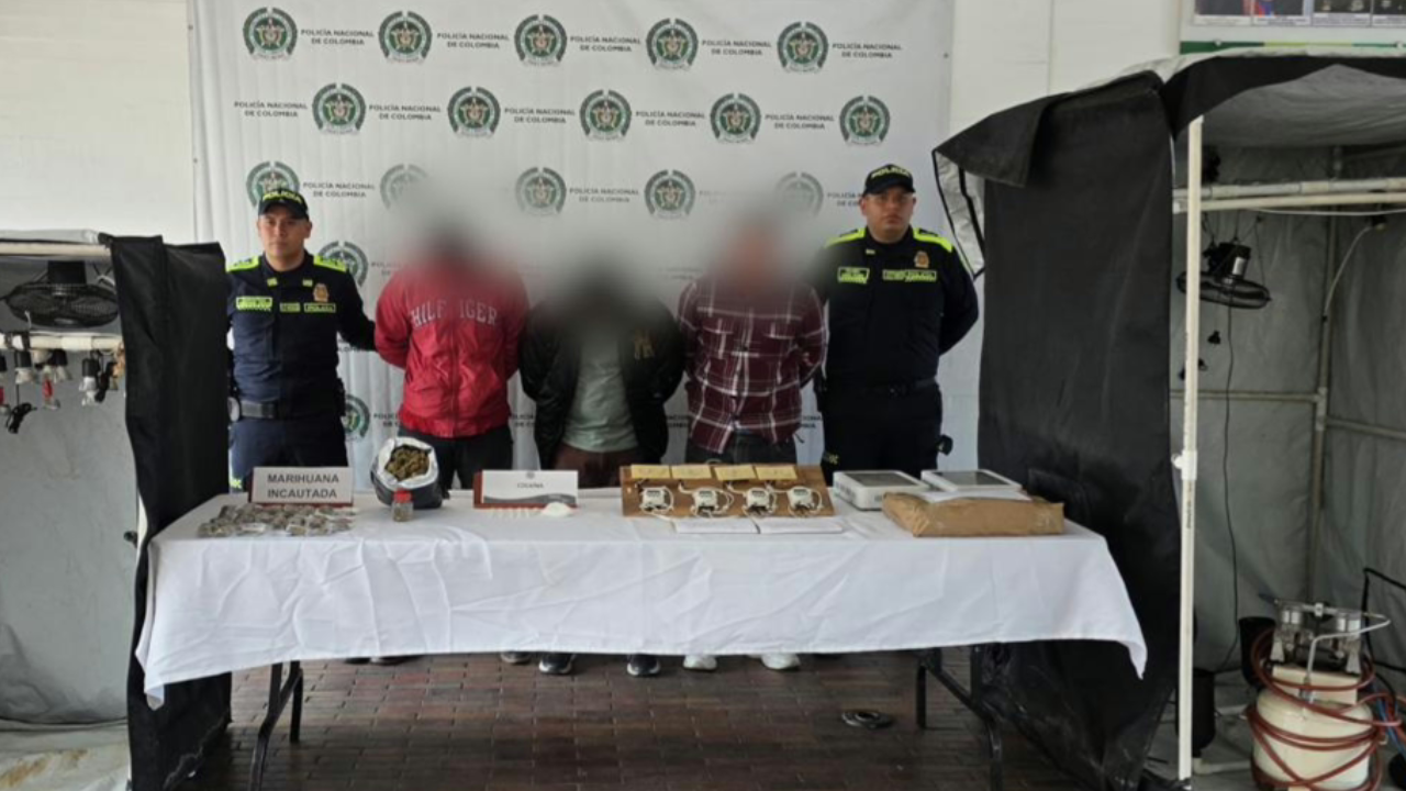 Cae ‘casa camuflada’ en Ciudad Bolívar que producía 50 kilos de marihuana al mes