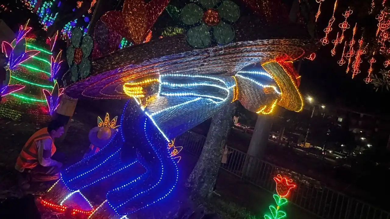 Alumbrados EPM: cinco experiencias inmersivas imperdibles en Medellín