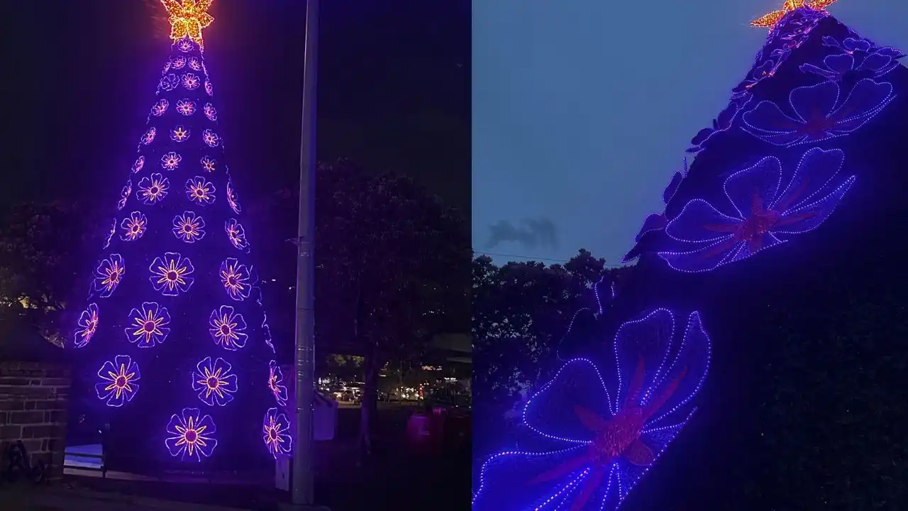 cinco experiencias inmersivas imperdibles en Medellín