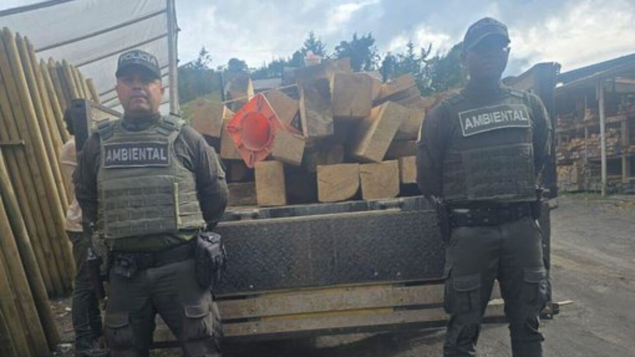 ¡Golpe al tráfico ilegal! Autoridades recuperan fauna silvestre y madera durante operativos ambientales en Antioquia