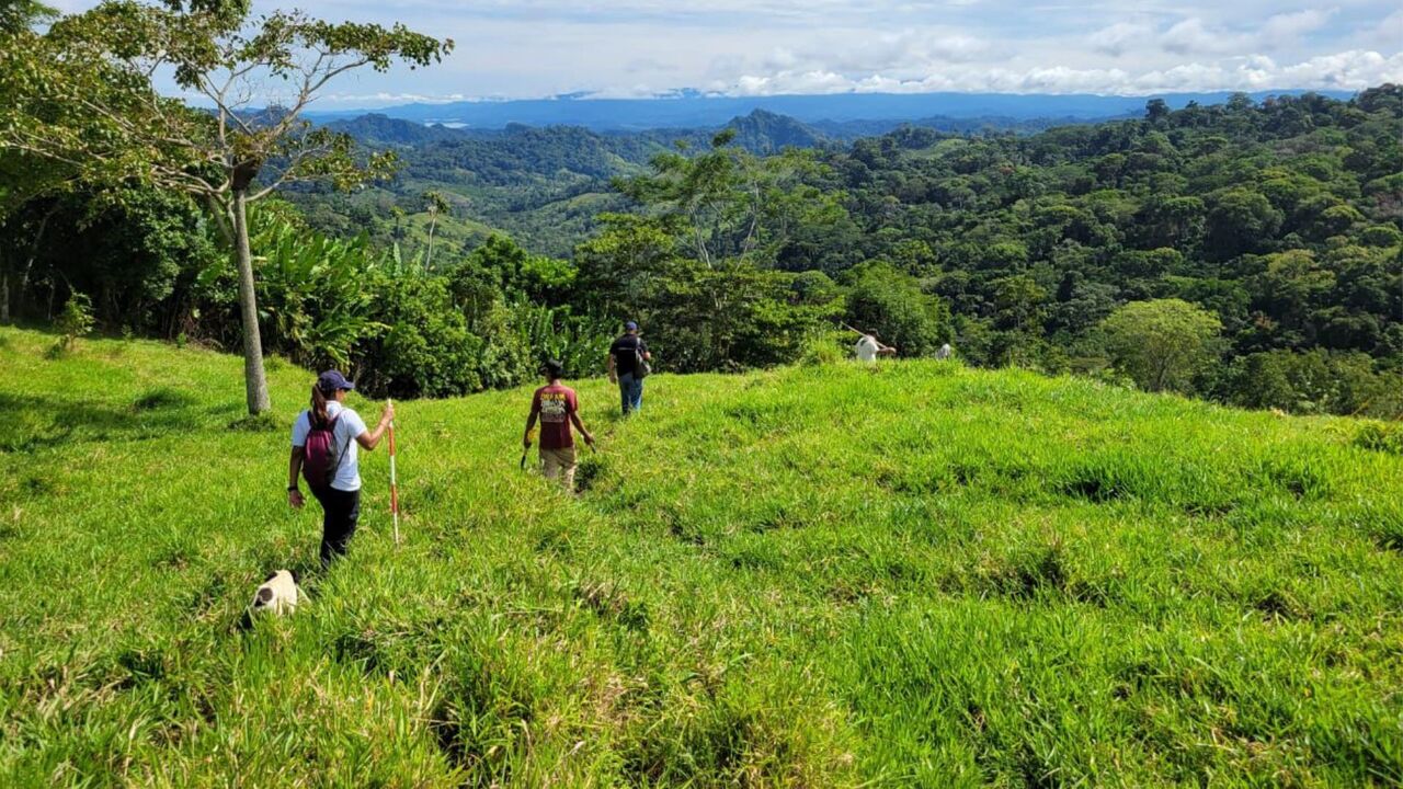 Tres cuerpos de víctimas de desaparición forzada fueron recuperados por la JEP en Urabá
