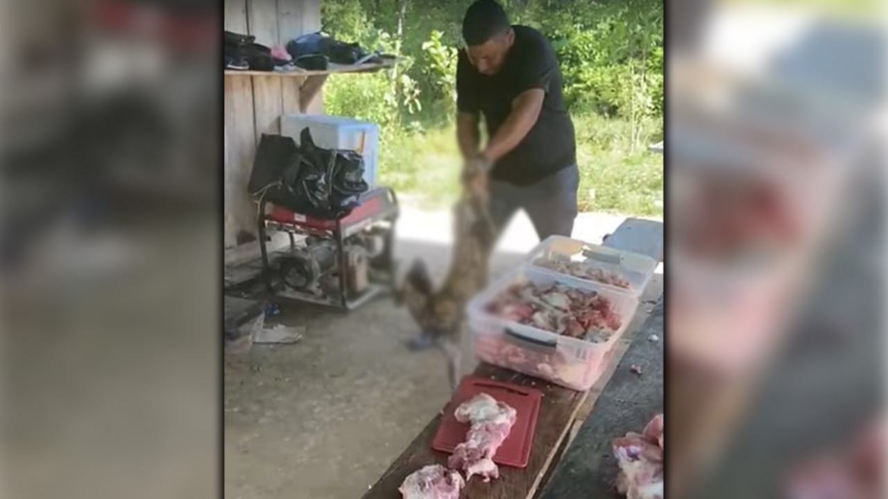 ¡Mucho infeliz! Por cielo y tierra buscan a este señor que cogió a correazos a un perrito en Caucasia