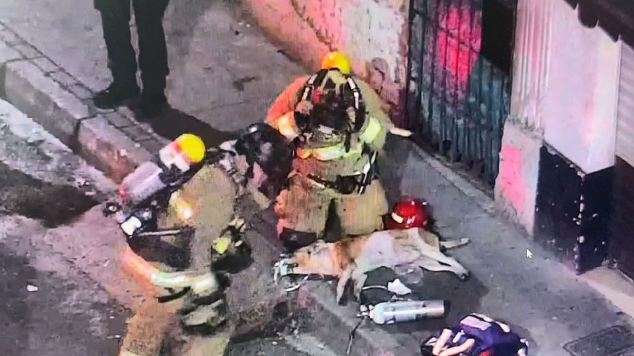 ¡Son héroes! Bomberos lograron salvar a un perrito que quedó atrapado en incendio en el centro de Medellín