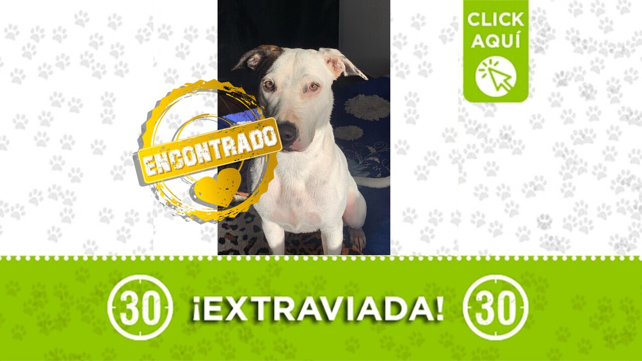 ¡Regresó! Coral ya está con su familia