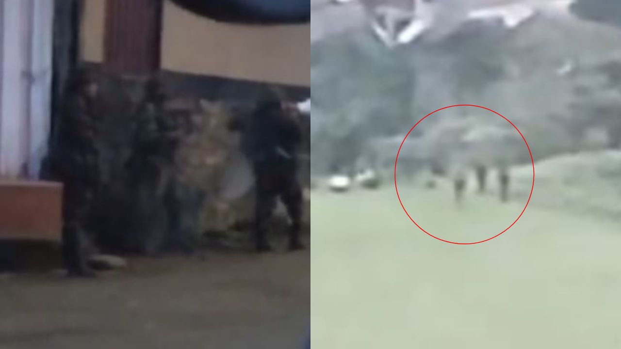 Disidencias atacaron estación de Policía de Jambaló con drones y explosivos