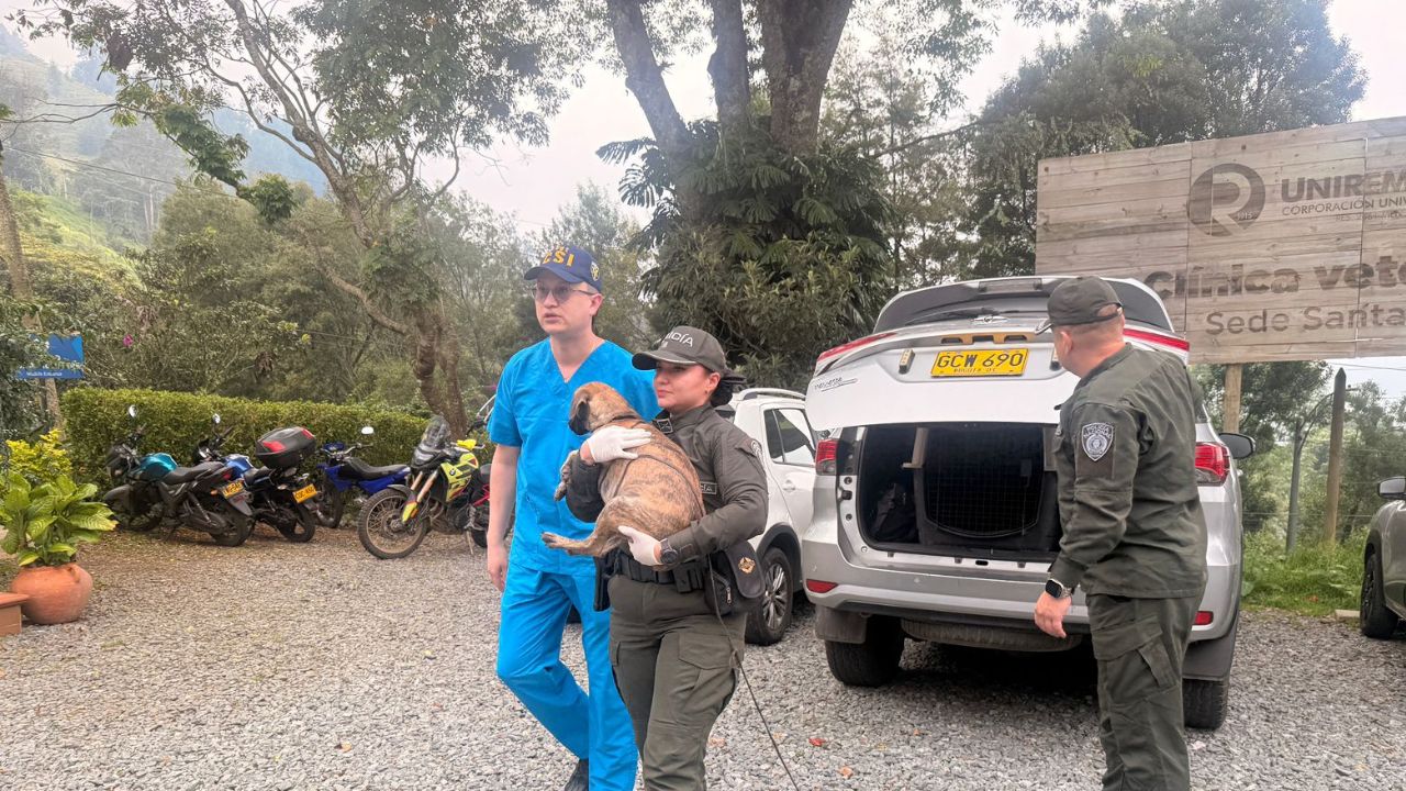 Llegó con un perro: Se entregó el hombre que golpeó brutalmente a canino en Antioquia