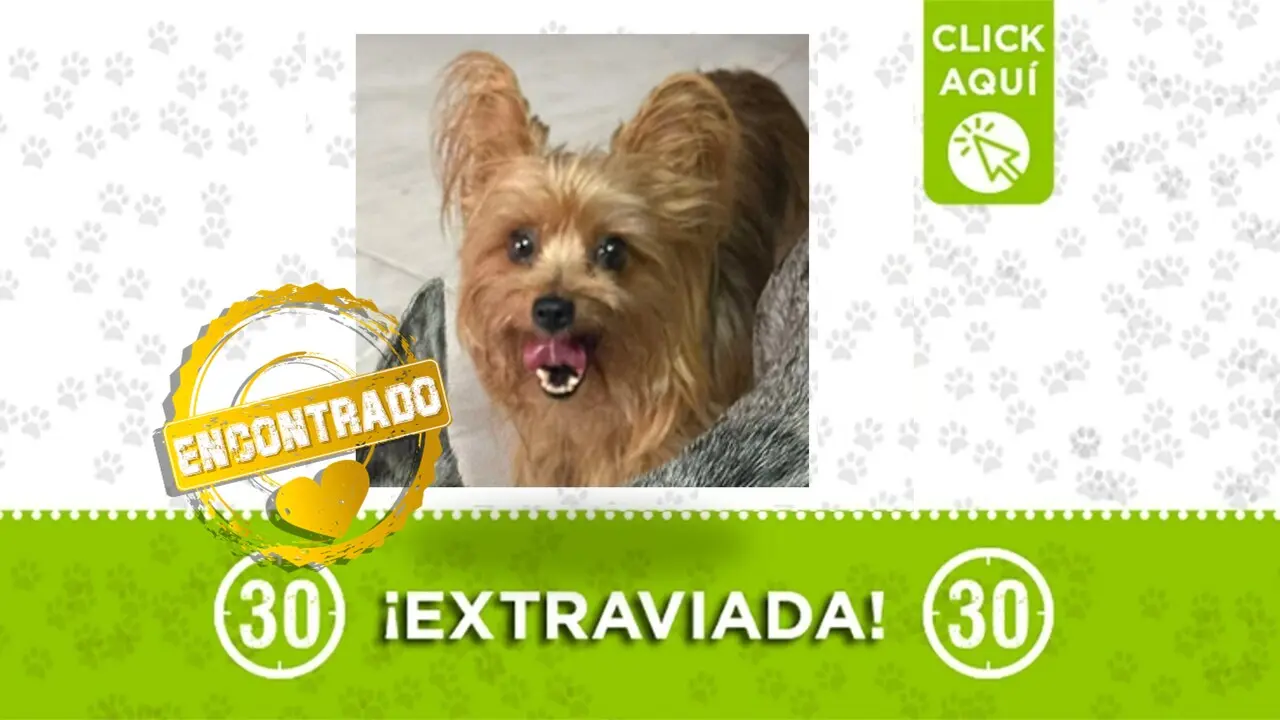 La hermosa Isis ya está con su familia