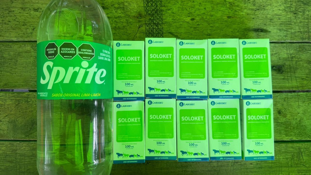 Capturado hombre que llevaba 4 mil mililitros de ketamina en un bus en Risaralda