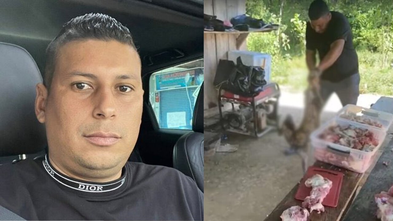 ¡Denúncielo! Millonaria recompensa por sujeto que atacó al perrito y quedó en video