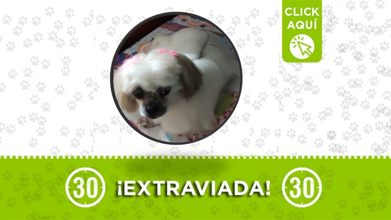 Lucy desapareció en Bello, por el sector Cinco Estrellas: su familia la busca