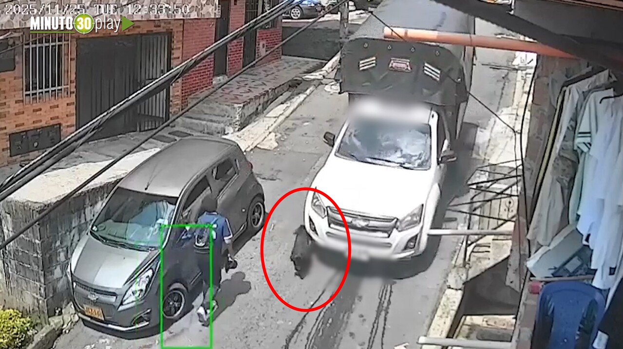 ¡Justicia por «princesa»! En Aranjuez, atropelló y mató a la perrita y huyó del lugar y en video quedó