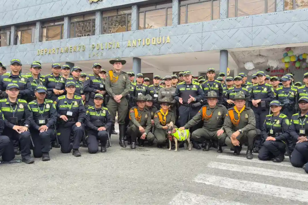 'Recibido con caricias y chaleco': 'Bizcocho', el perro que fue brutalmente agredido, ya tiene nuevo hogar