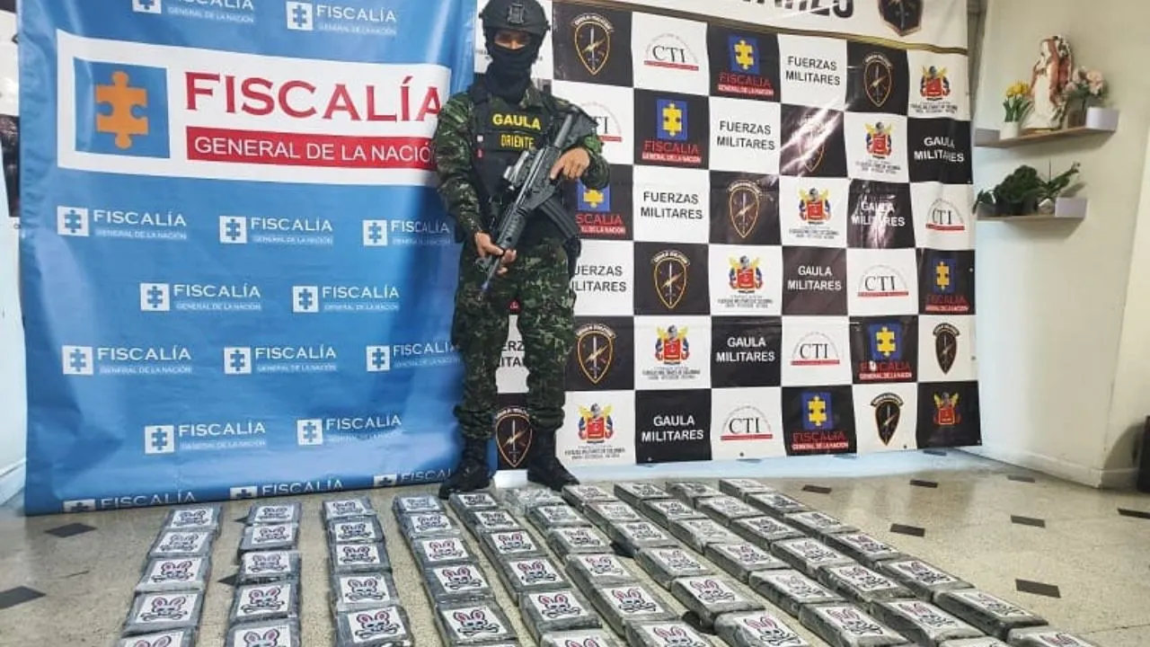 Golpe al narcotráfico en Cocorná: Ejército incauta 80 kilos de cocaína listos para exportación