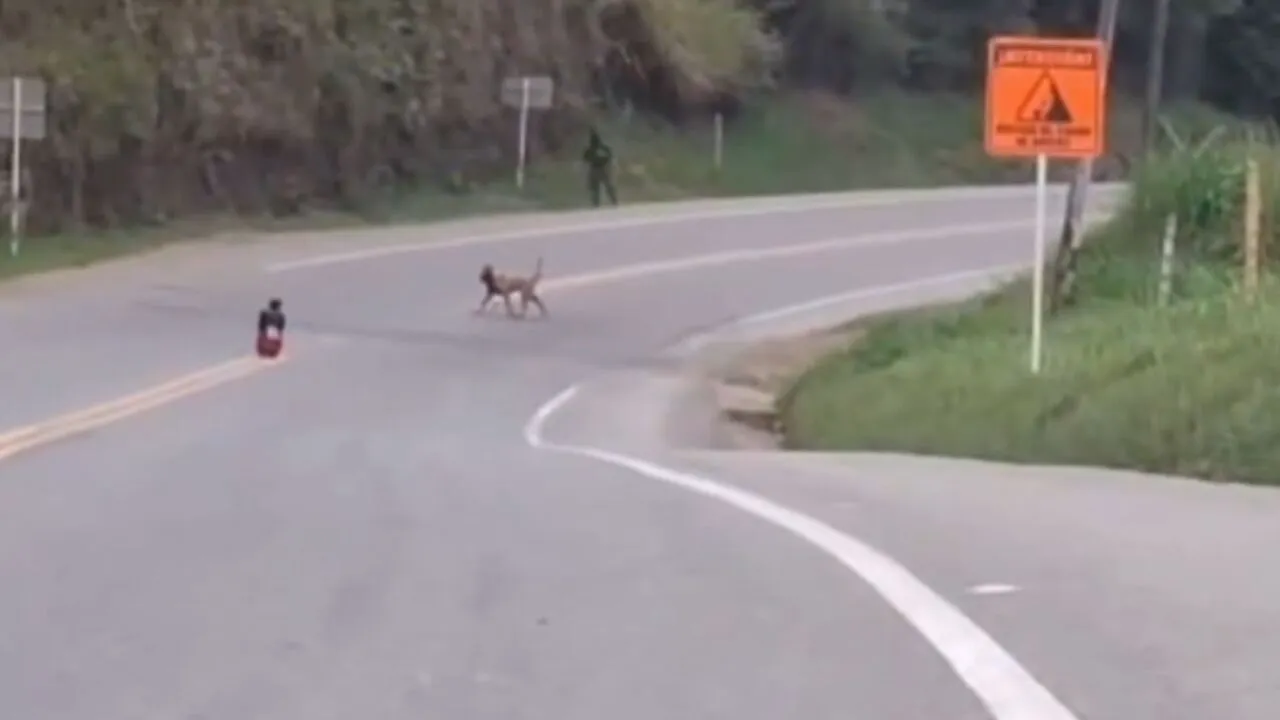 ¡Evitan una tragedia! Ejército neutraliza artefacto explosivo en la vía Panamericana, Cauca