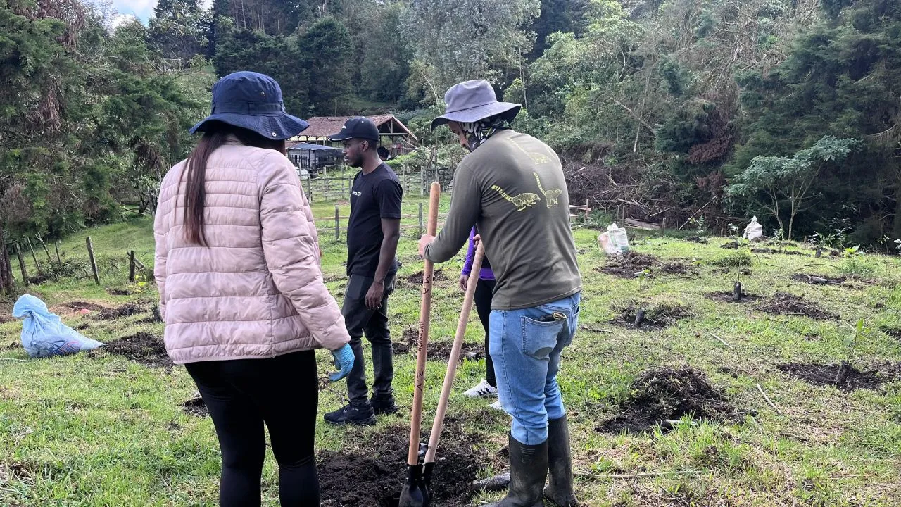 ¡Sabaneta respira! 300 nuevos árboles revitalizan La Romera y fortalecen el pulmón verde de la ciudad