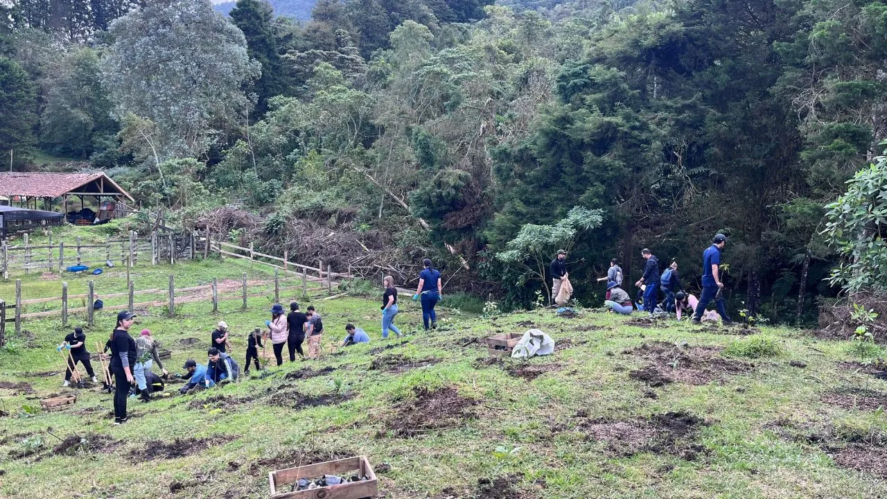 ¡Sabaneta respira! 300 nuevos árboles revitalizan La Romera y fortalecen el pulmón verde de la ciudad