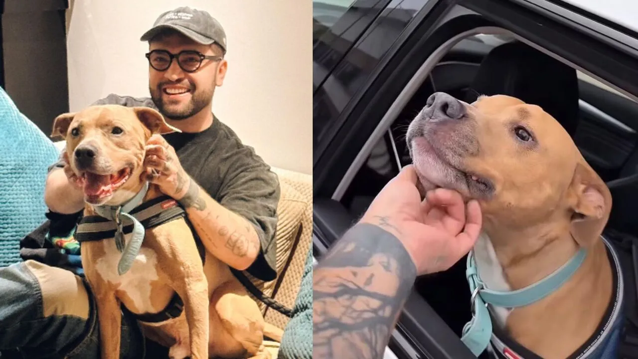 ¡Fiesta en las calles de Bogotá! Camilo Triana celebró la recuperación de su perrito Magnus tras vencer el cáncer