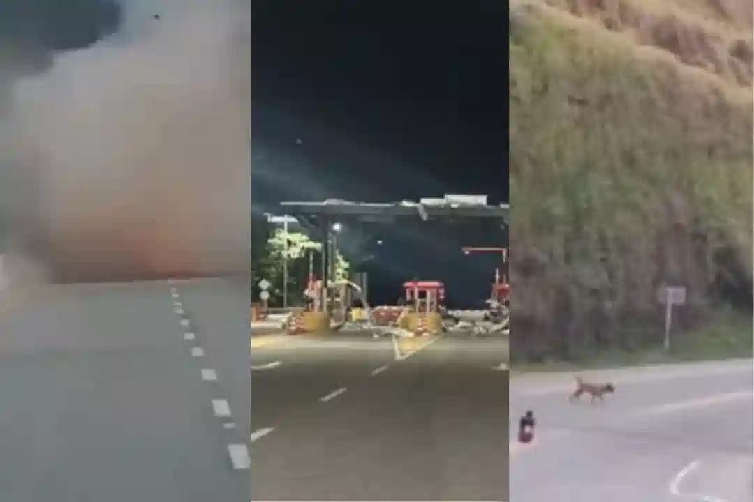 Paro armado del ELN lleva 51 acciones terroristas y mantiene al país en alerta máxima