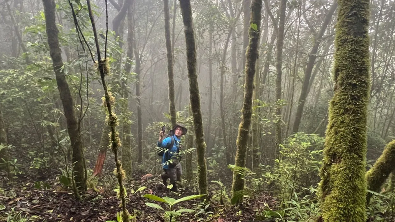 Recuperación ambiental en Medellín: 104 quebradas intervenidas y miles de toneladas de residuos retirados