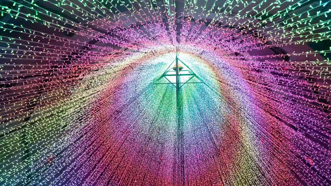 así es la experiencia que nadie se quiere perder