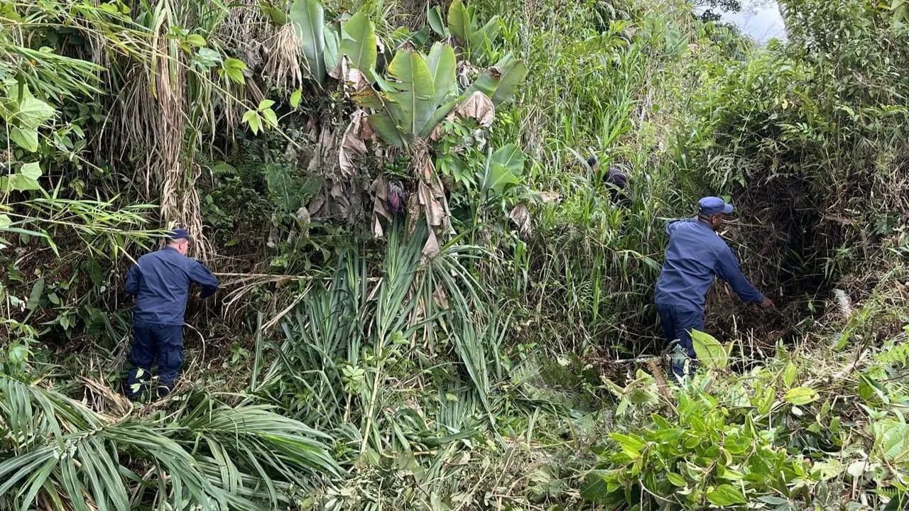 Soldados Desminadores apoyan a habitante de Granada con labores agrícolas