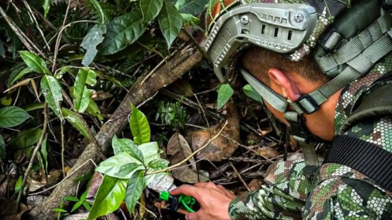 Familias en Valdivia piden desminado urgente tras la aparición de explosivos en el casco urbano
