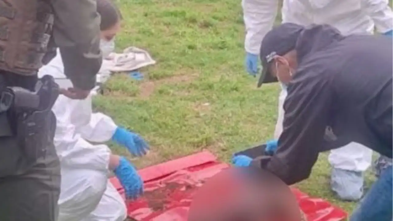 Indignación en Bosa: perrita murió tras ser presuntamente lanzada de un segundo piso