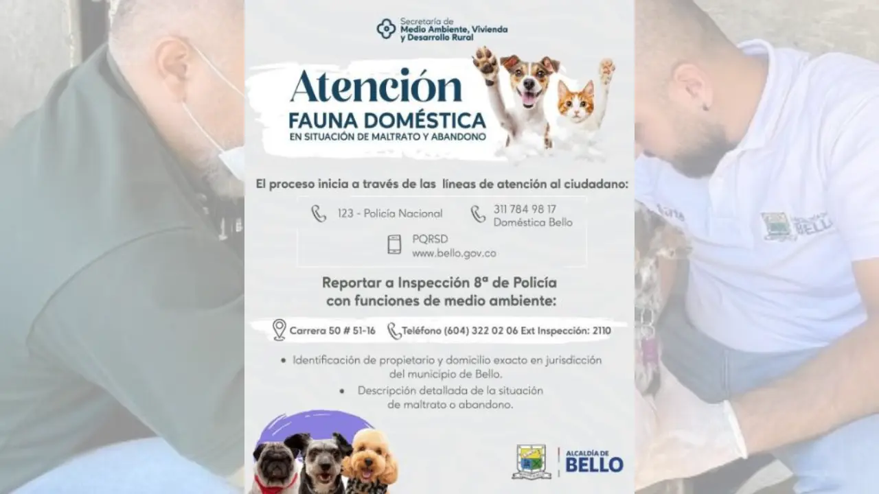 Verifican estado de dos perritos tras denuncia de un posible maltrato en Santa Rita