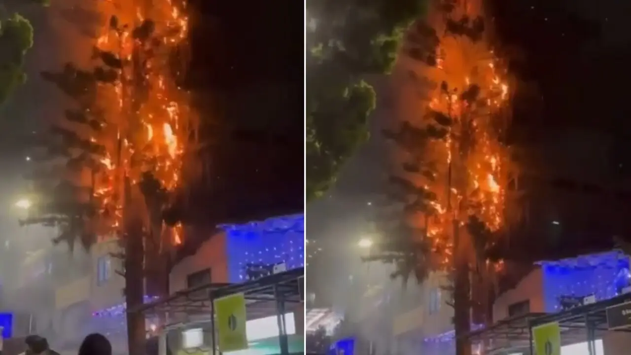 Un fuerte incendio en un árbol se registró la noche del 20 de diciembre en Mnarique