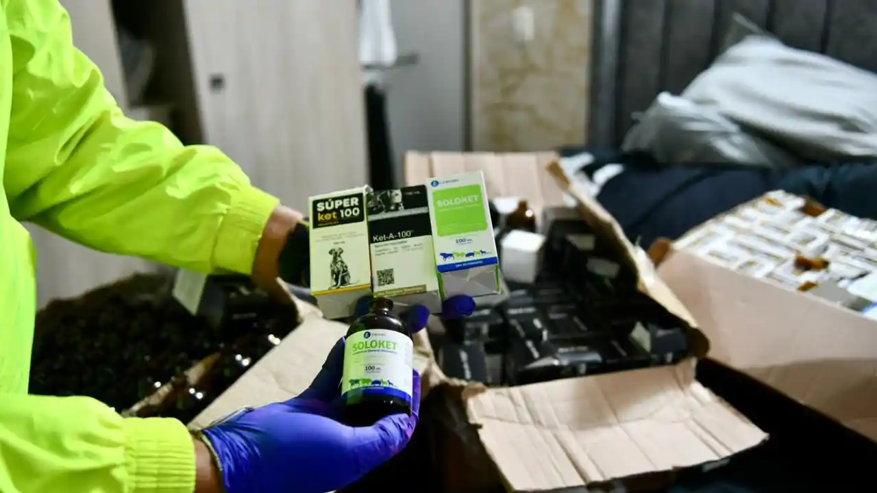 Lanzaron maletas con droga a los techos y helicóptero los pilló: 19 capturados durante operativo en Medellín