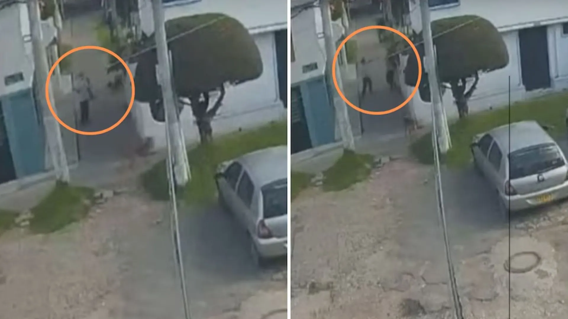 ¡Ataque brutal en Usaquén! Hombre golpeó a una mujer y a su perrita con una correa en pleno parque