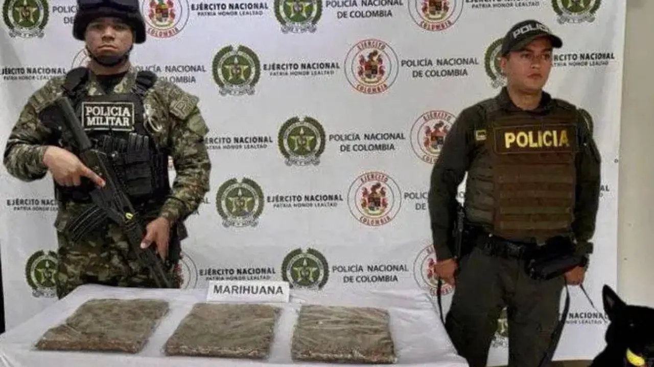 ¡Los pillaron en San Fernando! Ejército incauta marihuana en Itagüí