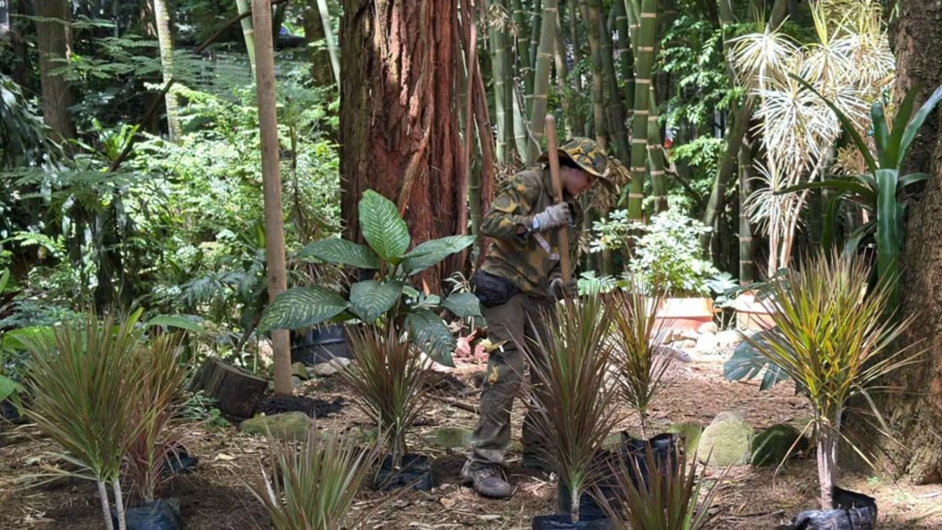 ¡El Poblado se transforma! Más de 847.000 metros cuadrados de espacio público recuperados en la Comuna 14