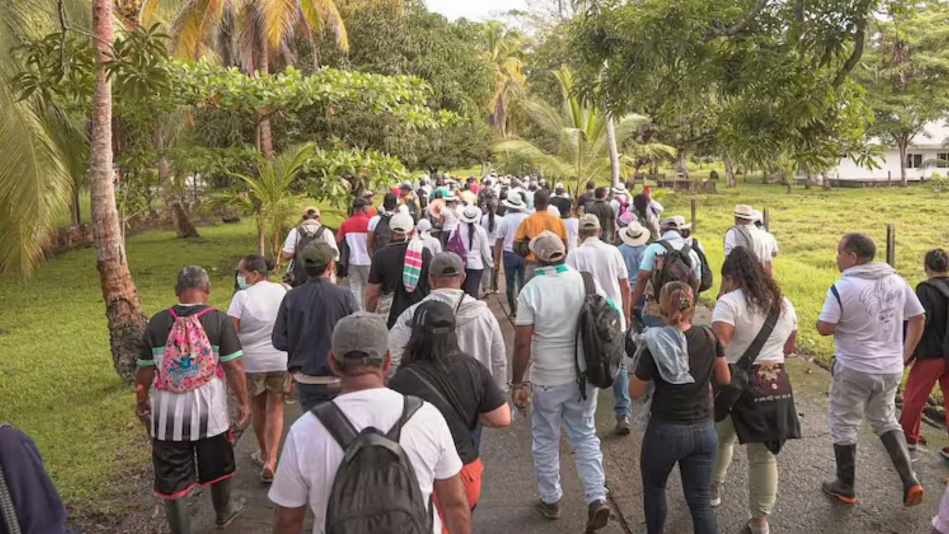 Estado recupera hacienda ligada al paramilitarismo en Necoclí y la entrega a víctimas del conflicto
