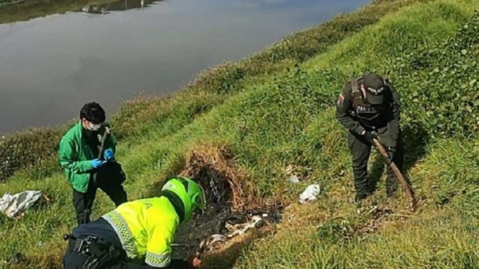 ¡Indignante! Hallan cuerpo de una perrita incinerada en el barrio Santa Cecilia de Suba