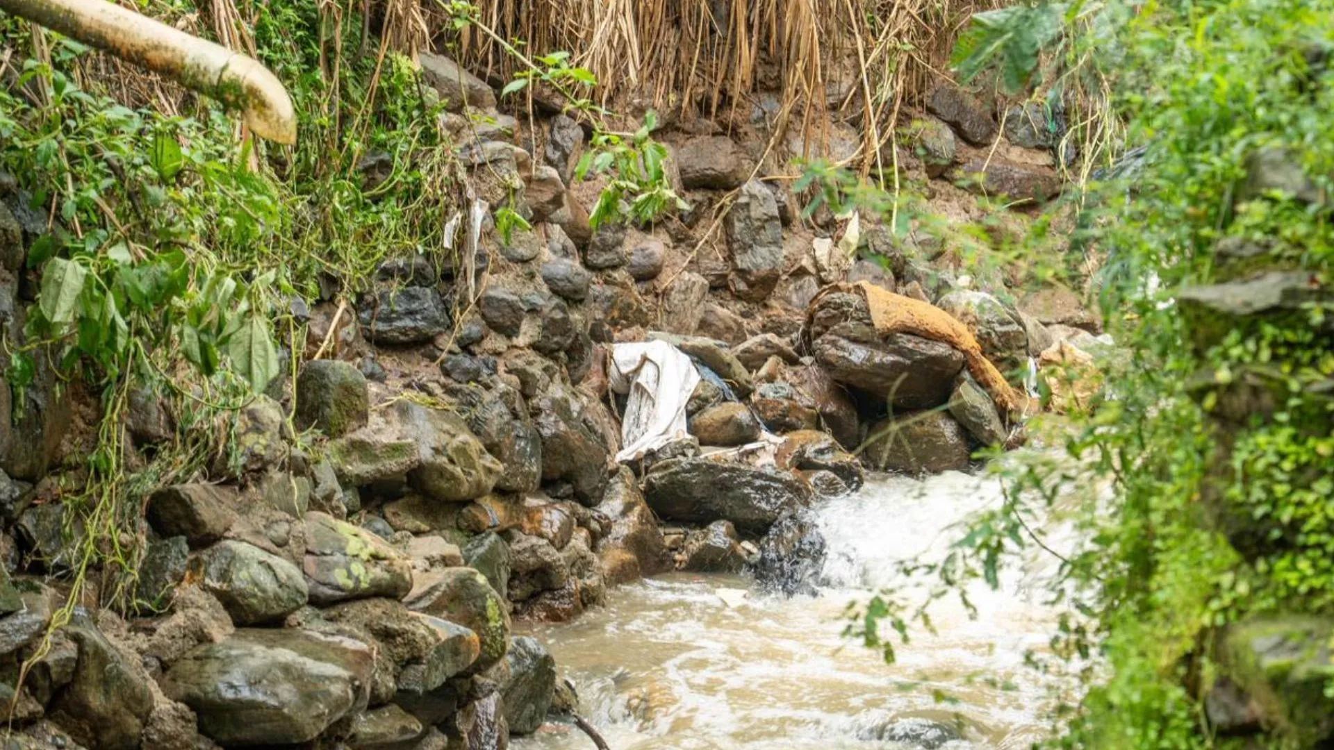 ¡Había hasta equipos de sonido! Medellín retira toneladas de basura de la quebrada La Castro en Villa Hermosa
