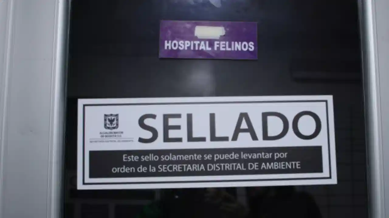 ¡Qué cochinada! Sellaron veterinaria en Suba que botaba agujas y gasas con sangre a la calle