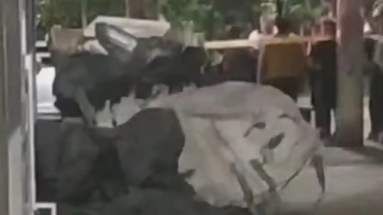 apareció un cuerpo dentro de carreta de reciclaje