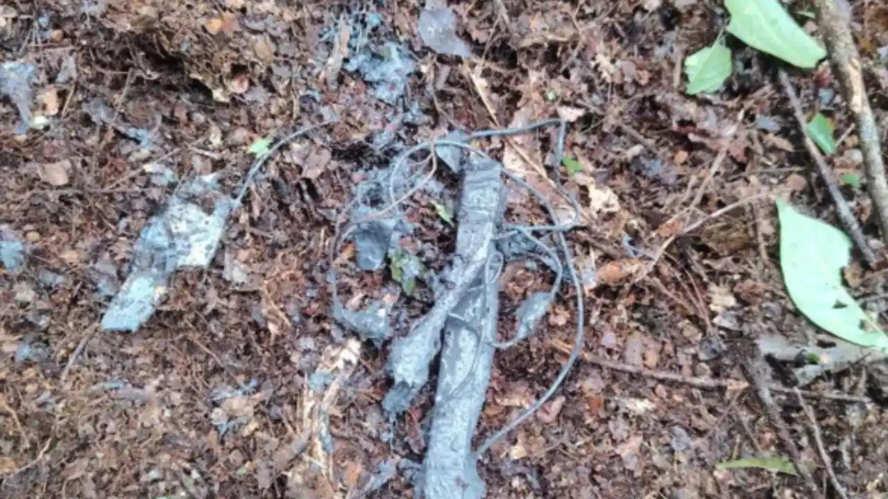 Ejército destruyó siete minas 'quiebrapatas' en zona rural de Anorí, Antioquia