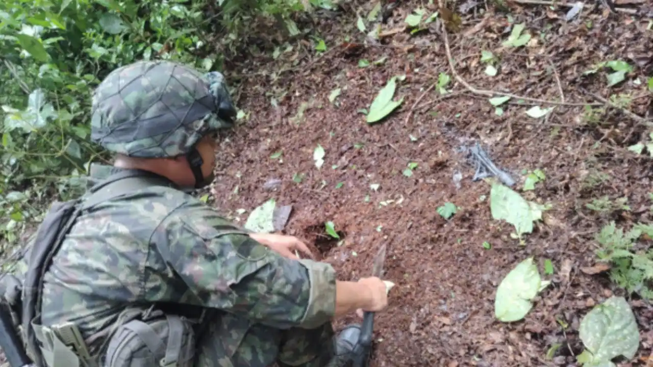 Ejército destruyó siete minas 'quiebrapatas' en zona rural de Anorí, Antioquia