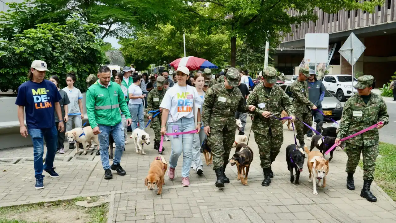 50 peluditos mayores de La Perla ya tienen hogar tras adoptatón en Medellín