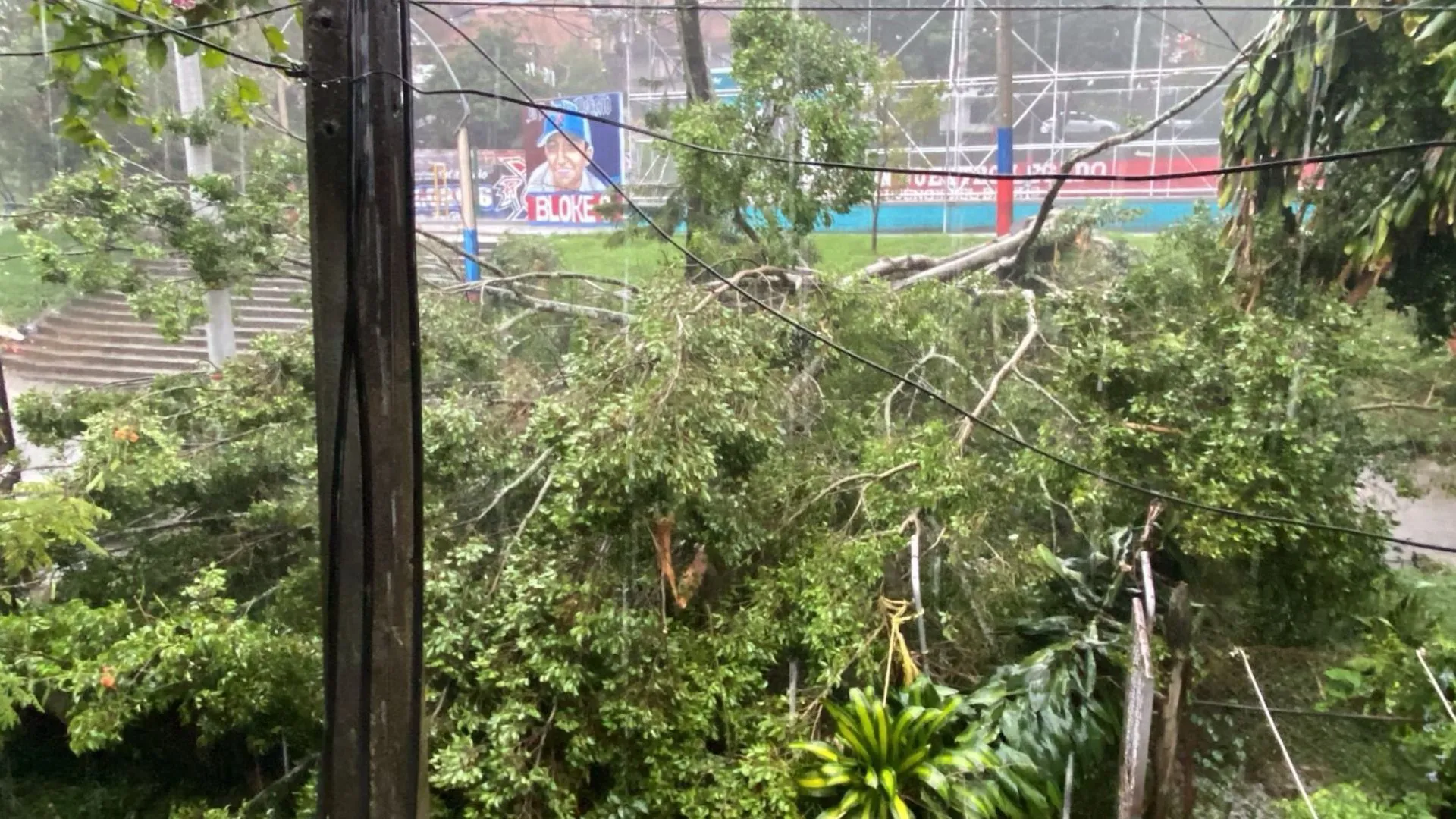¡Emergencia total en Medellín! Bomberos atienden inundaciones, caída de árboles y colapsos tras fuertes lluvias