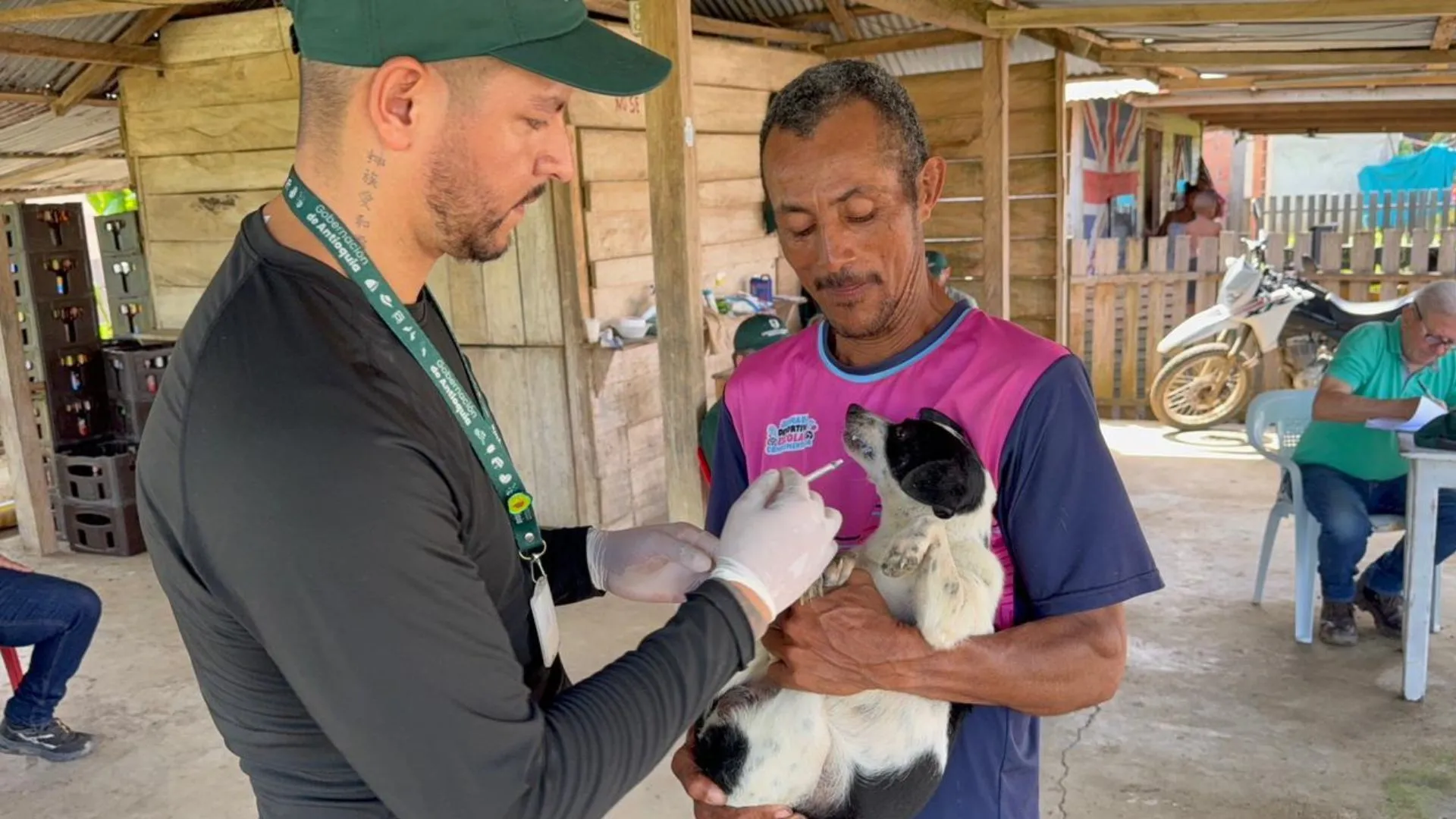 Gobernación de Antioquia atiende a más de 300 animales afectados por lluvias en Urabá