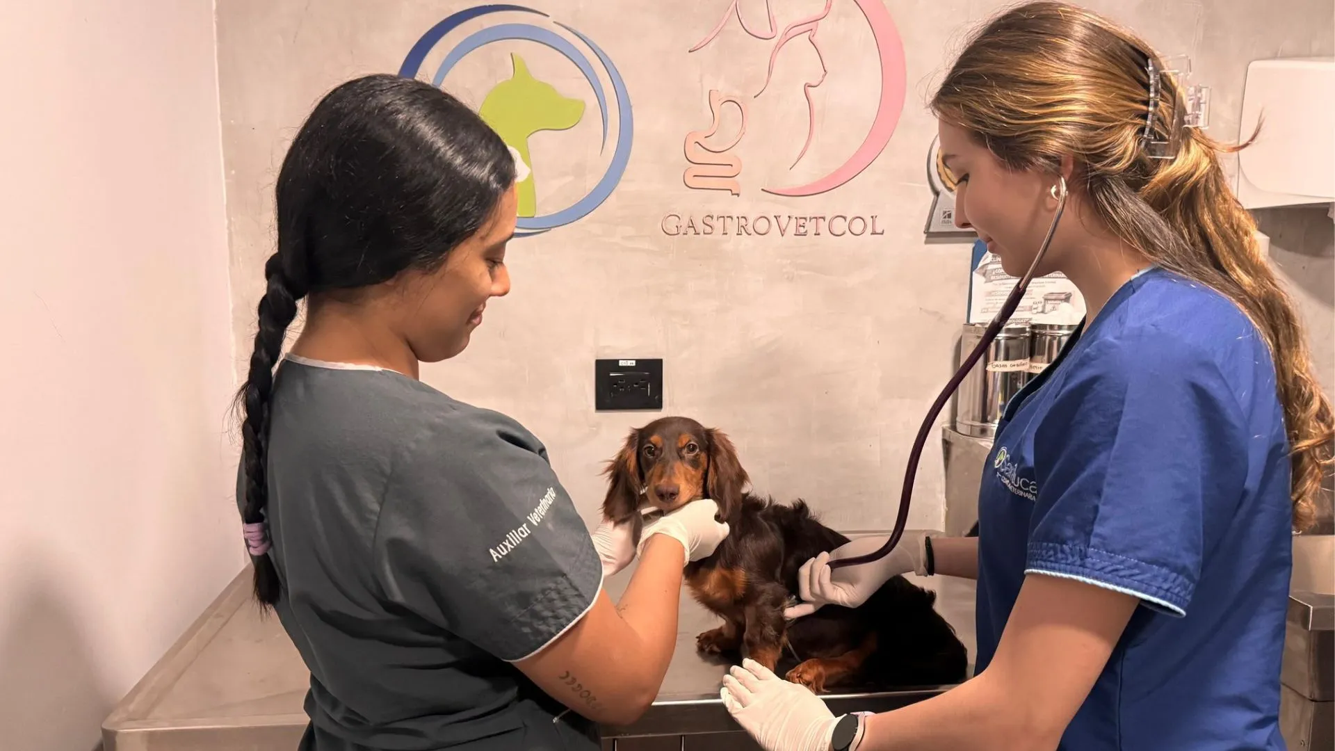 ¡Indignante! Rescatan a dos cachorros que eran brutalmente maltratados en un balcón de Medellín