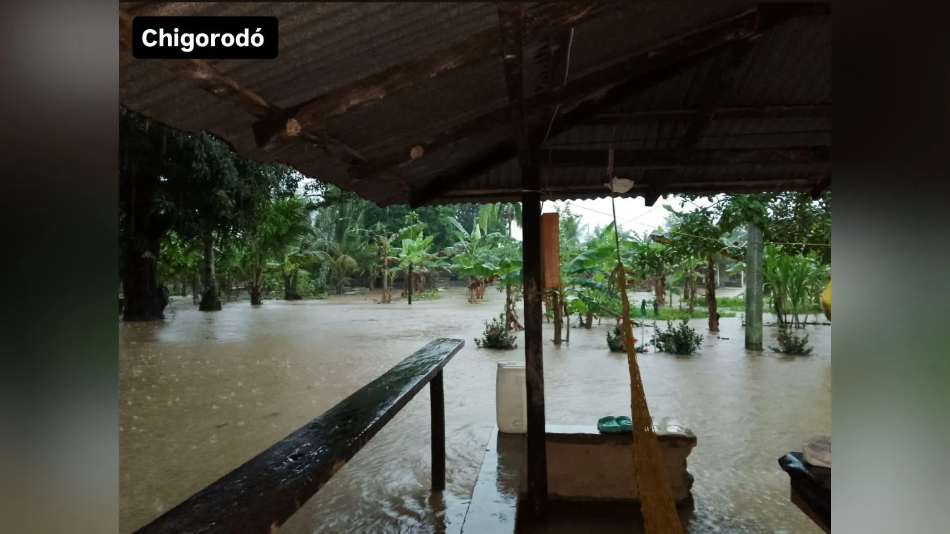 ¡Las lluvias no dan tregua! Antioquia reporta emergencias en cinco municipios