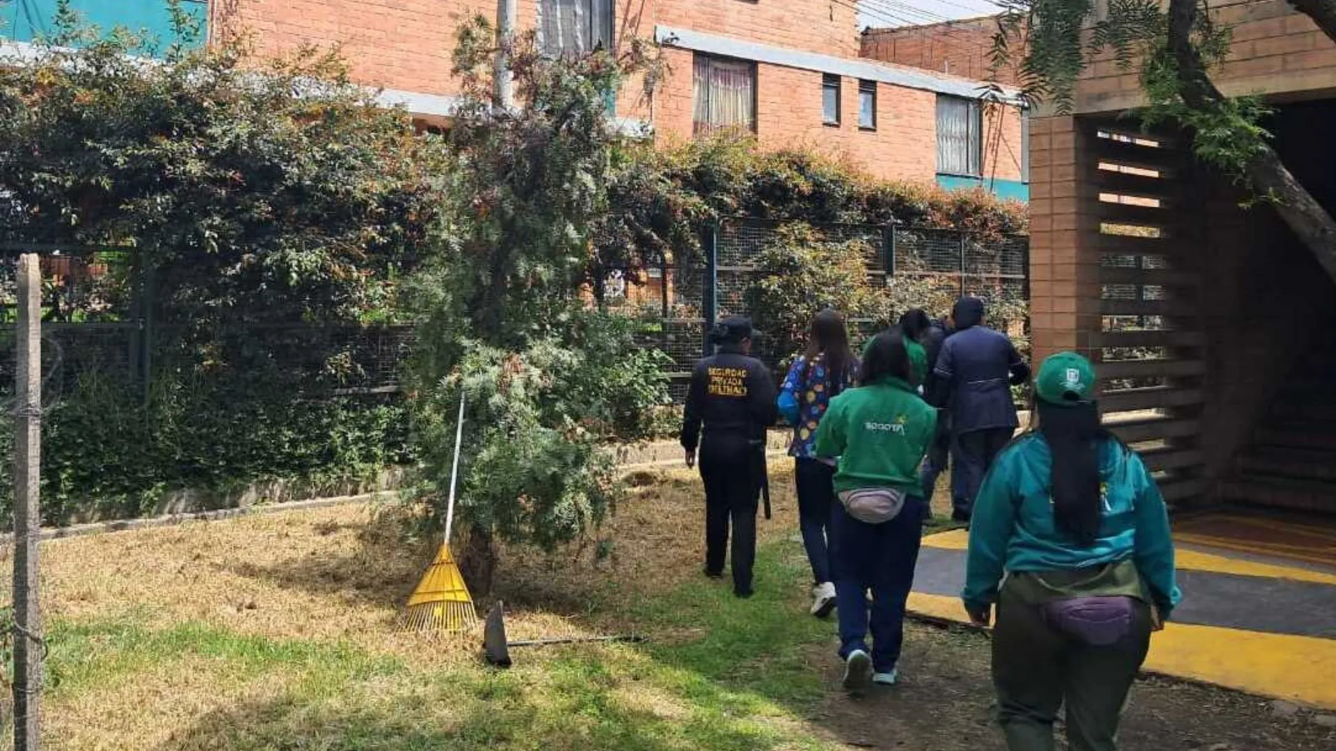 ¡Qué crueldad! Investigan envenenamiento de seis perritos en Ciudad Bolívar; dos de ellos fallecieron