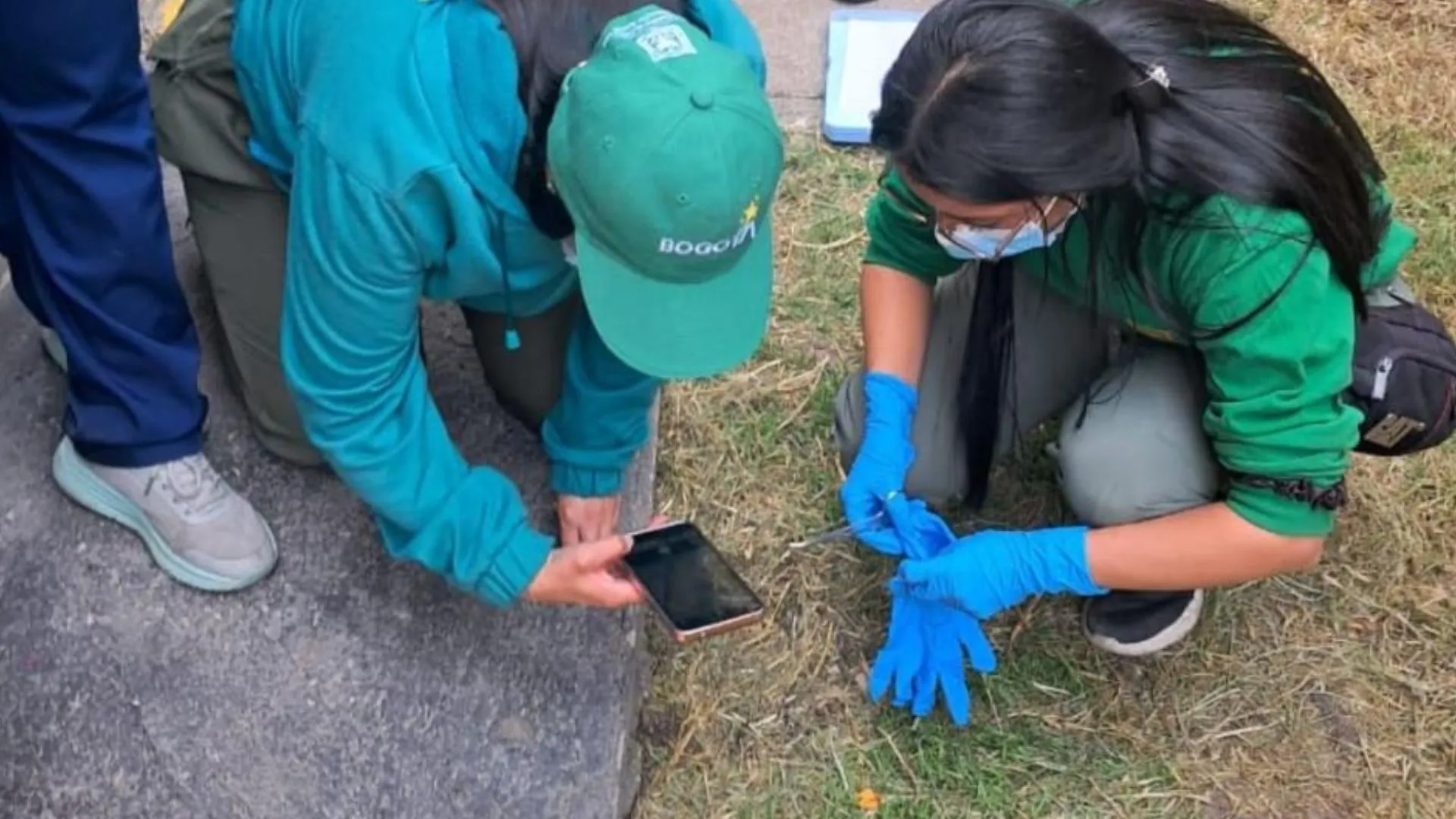¡Qué crueldad! Investigan envenenamiento de seis perritos en Ciudad Bolívar; dos de ellos fallecieron