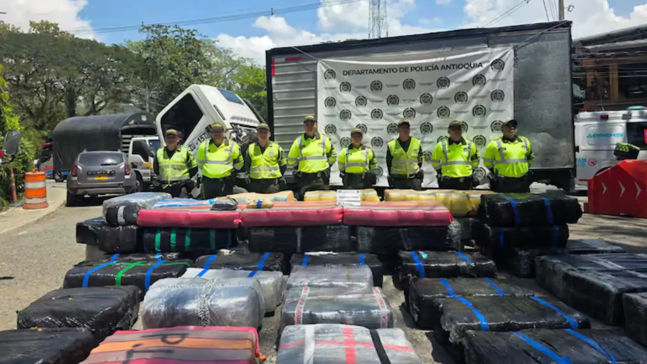 Incautan cargamento millonario de marihuana en camión robado en La Pintada