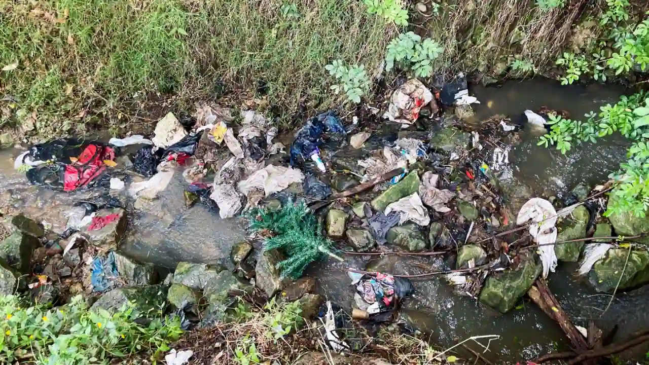 ¡Ojo que el agua no para! Medellín sigue en alerta por aguaceros y acelera limpieza de quebradas